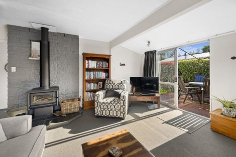 Photo of property in 24 Von Dadelszen Place, Havelock North, 4130