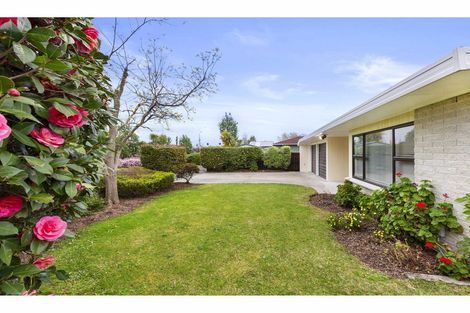 Photo of property in 31 Tramway Road, Enderley, Hamilton, 3214