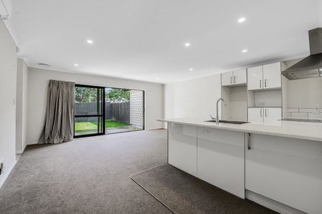 Photo of property in 1/17 Walter Street, Fairfield, Hamilton, 3214
