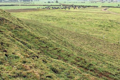 Photo of property in 664 Tariki Road, Ratapiko, 4390