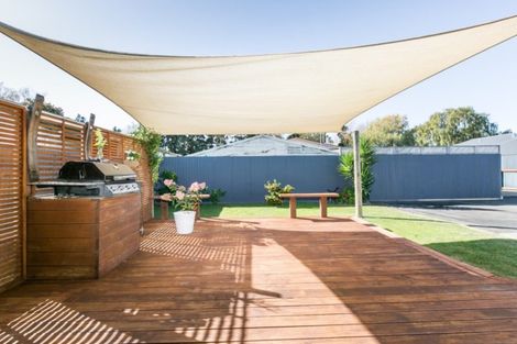 Photo of property in 405a Murdoch Road East, Akina, Hastings, 4122