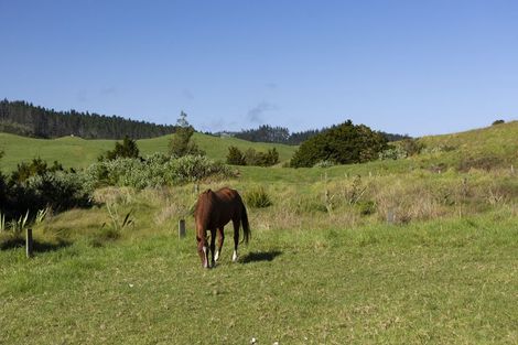 Photo of property in 1238 Fern Flat Road, Peria, 0479