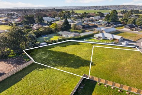 Photo of property in 12 Cotterville Crescent, Greytown, 5712