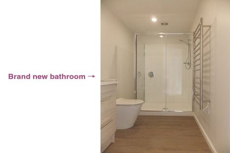 Photo of property in 37 Hillier Place, Spreydon, Christchurch, 8024