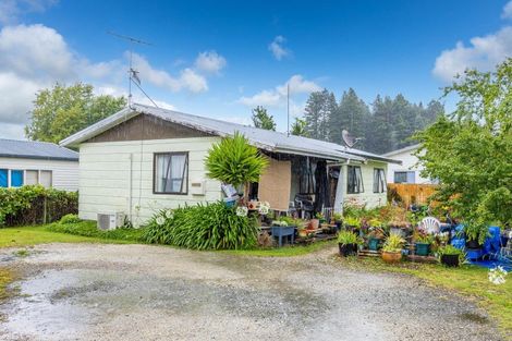 Photo of property in 51a Te Kuiti Road, Te Kuiti, 3910