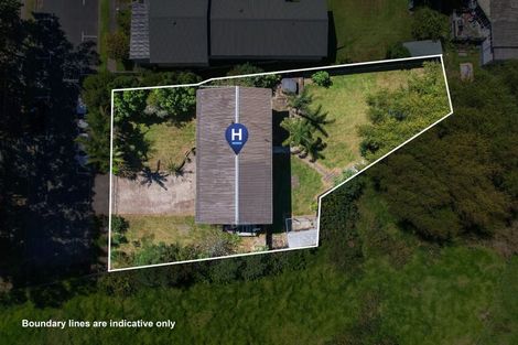 Photo of property in 119 Lowe Avenue, Thames, 3500