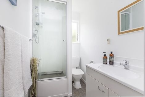 Photo of property in 64 Liardet Street, Vogeltown, Wellington, 6021