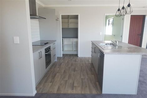 Photo of property in 9 Bonecrusher Street, Lincoln, 7608