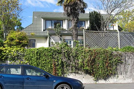 Photo of property in 132 Nile Street, Nelson, 7010