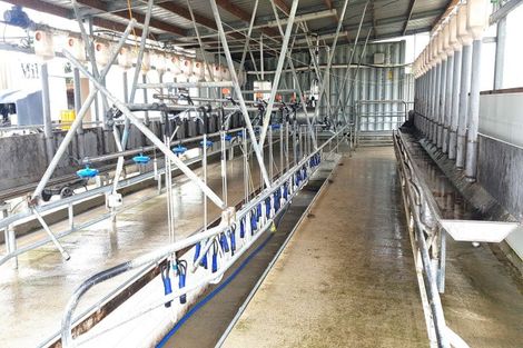 Photo of property in 31 Windy Ridge Road, Benhar, Balclutha, 9272