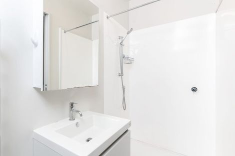 Photo of property in Aniva Terrace, 14 Arney Street, Newtown, Wellington, 6021