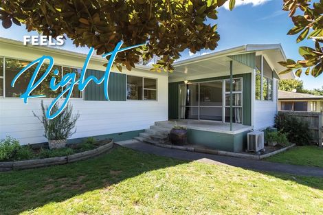 Photo of property in 13 Splitt Avenue, Glenview, Hamilton, 3206