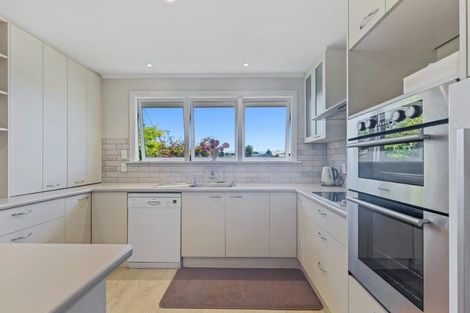 Photo of property in 10 Lowry Street, Waiau, 7332