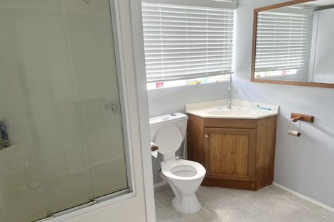 Photo of property in 53 Sheehan Avenue, Papakura, 2110