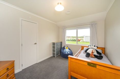 Photo of property in 12 Wapiti Avenue, Feilding, 4775