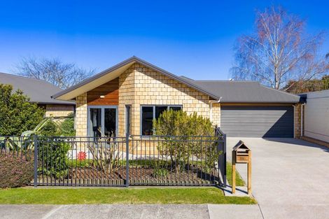 Photo of property in 71 Moorhouse Street, Morrinsville, 3300