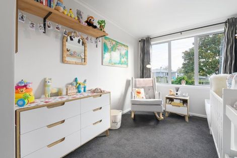 Photo of property in 64 Alfred Street, Fairfield, Hamilton, 3214