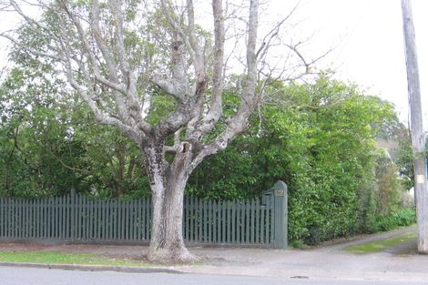 Photo of property in 62 Pownall Street, Masterton, 5810