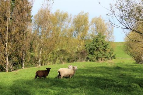 Photo of property in 175 Umutaoroa Road, Dannevirke, 4978