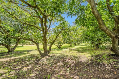 Photo of property in 23 Collins Lane, Te Puke, 3187