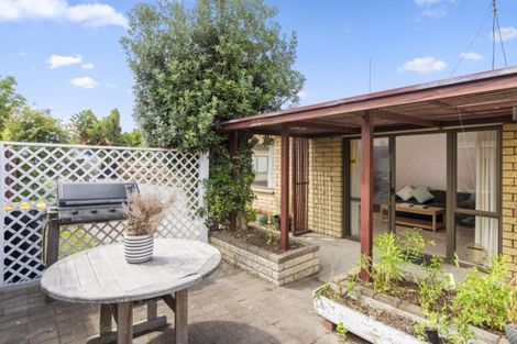 Photo of property in 6c Terrace Avenue, Mount Maunganui, 3116