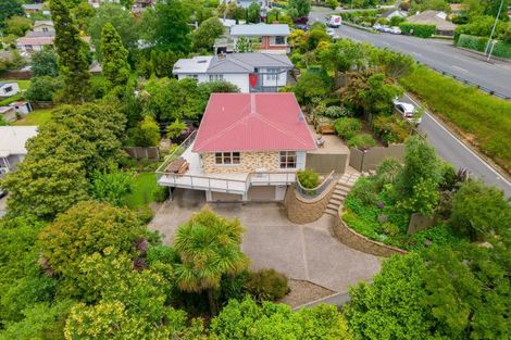 Photo of property in 99 Lake Crescent, Hamilton Lake, Hamilton, 3204