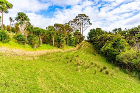 Photo of property in 174a Cames Road, Mangawhai, 0975