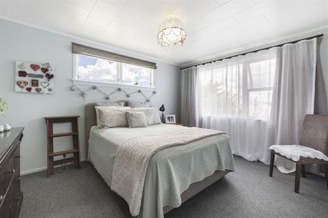 Photo of property in 18 Terrace Street, Putaruru, 3411