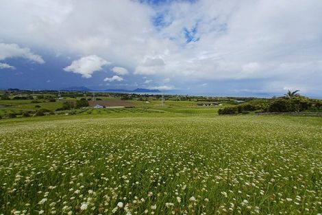 Photo of property in 211 Sandford Road, Ruakaka, Whangarei, 0171