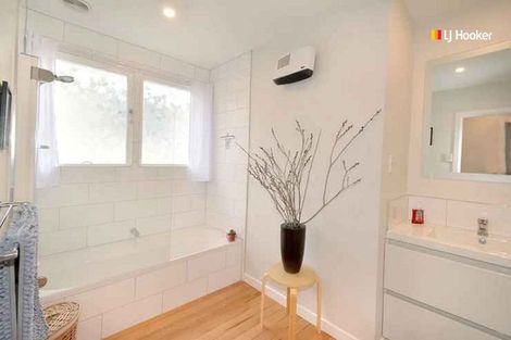 Photo of property in 311 Rattray Street, Dunedin Central, Dunedin, 9016