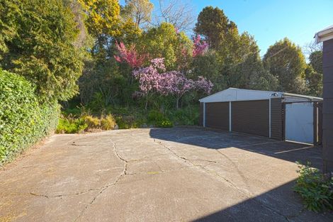 Photo of property in 24 Von Dadelszen Place, Havelock North, 4130