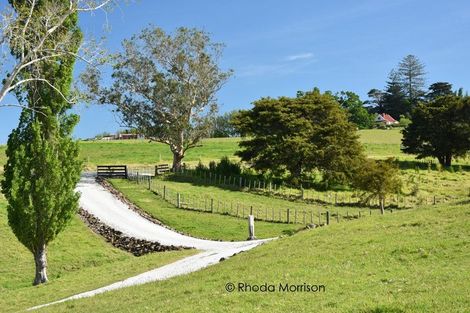 Photo of property in 41 Minnie Casey Rise, Matakohe, 0593