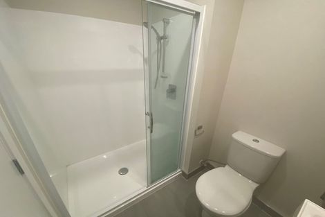 Photo of property in 9 Panakenake Way, Flat Bush, Auckland, 2019