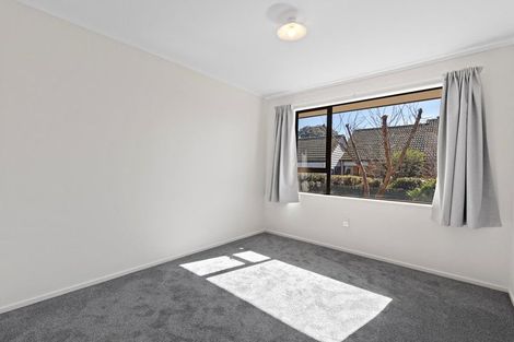 Photo of property in 223 Redwood Street, Witherlea, Blenheim, 7201