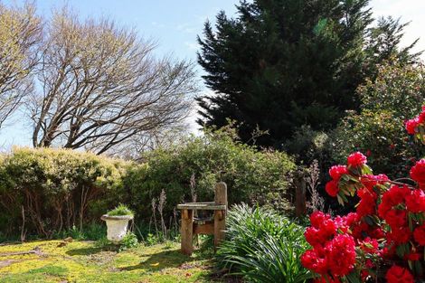 Photo of property in 258 Smith Road, Dannevirke, 4978