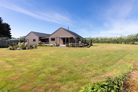 Photo of property in 41 Beckett Lane, Dannevirke, 4972