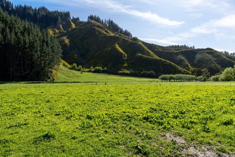 Photo of property in 208 Mount Riley Road, Okaramio, Havelock, 7178