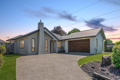 Photo of property in 49 Stoneleigh Drive, Chartwell, Hamilton, 3210