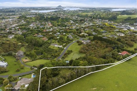 Photo of property in 3175l Ohauiti Road, Ohauiti, Tauranga, 3173
