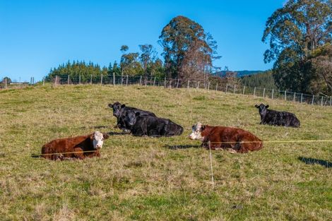 Photo of property in 604 Waiwhero Road, Ngatimoti, Upper Moutere, 7175