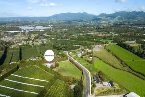 Photo of property in 50 Tetley Road, Tahawai, Katikati, 3178