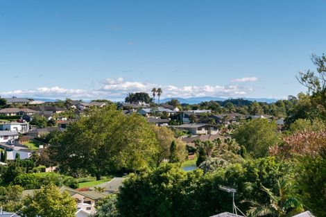 Photo of property in 226c Cambridge Road, Bethlehem, Tauranga, 3110