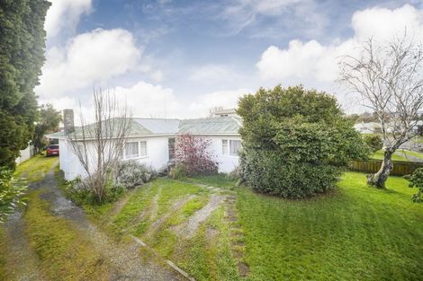 Photo of property in 18 Windsor Street, Terrace End, Palmerston North, 4410