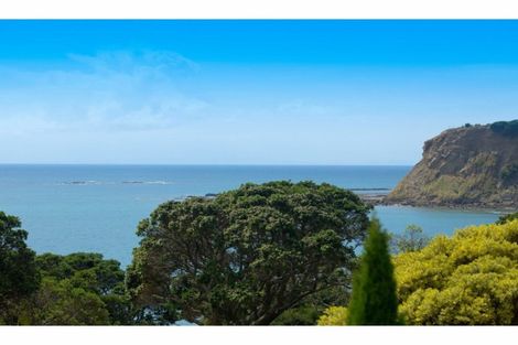 Photo of property in 115 Pacific Parade, Army Bay, Whangaparaoa, 0930