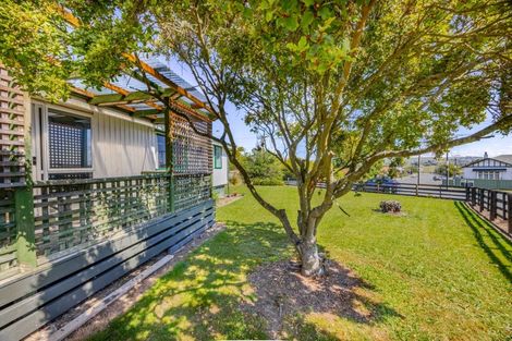 Photo of property in 57a Racecourse Road, Waipukurau, 4200