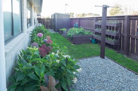 Photo of property in 43 Braebrook Drive, Netherby, Ashburton, 7700