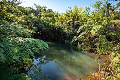 Photo of property in 166b Heard Road, Waihi, 3681