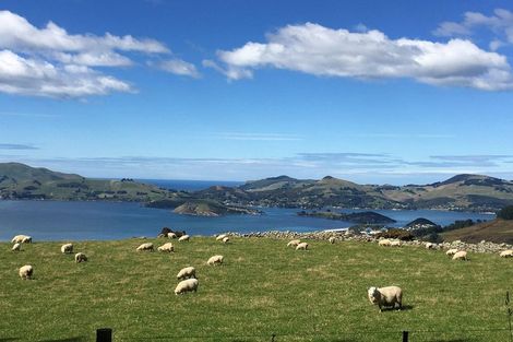 Photo of property in 197 Heyward Point Road, Heyward Point, Port Chalmers, 9081