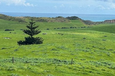 Photo of property in 286 Rehutai Road, Baylys Beach, Dargaville, 0377