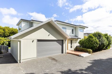 Photo of property in 9c Dillon Street, Blenheim, 7201